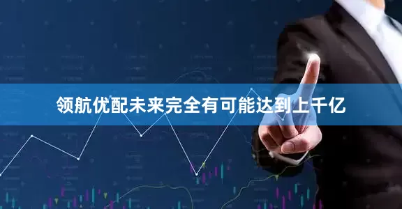 领航优配未来完全有可能达到上千亿