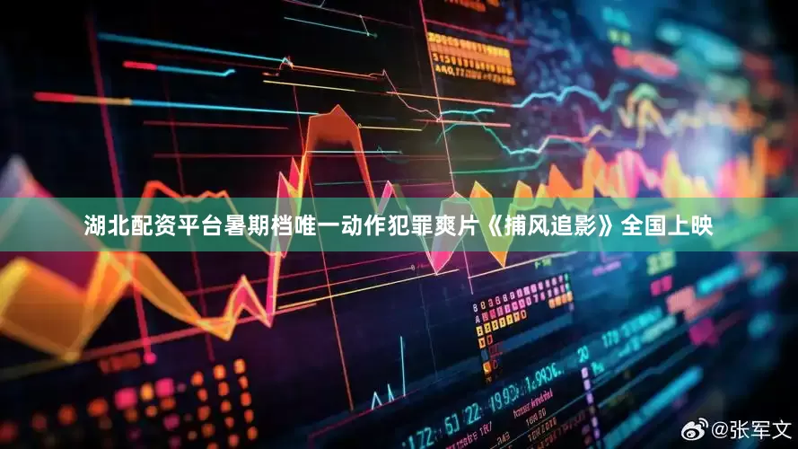 湖北配资平台暑期档唯一动作犯罪爽片《捕风追影》全国上映